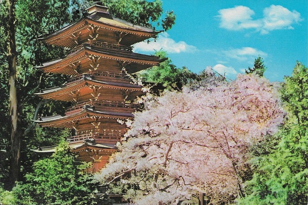 Golden Gate Park Japanese Tea Garden Pagoda Postcard