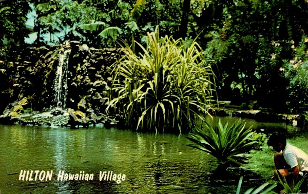 Japanese Pond Hilton Hawaiian Village Postcard