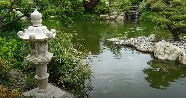 Shinzen Japanese Gardens video Friendship Garden